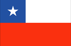 flag image