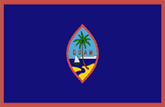 flag image