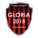 CS Gloria 2018 Bistrita Nasaud