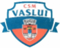 CSM Vaslui