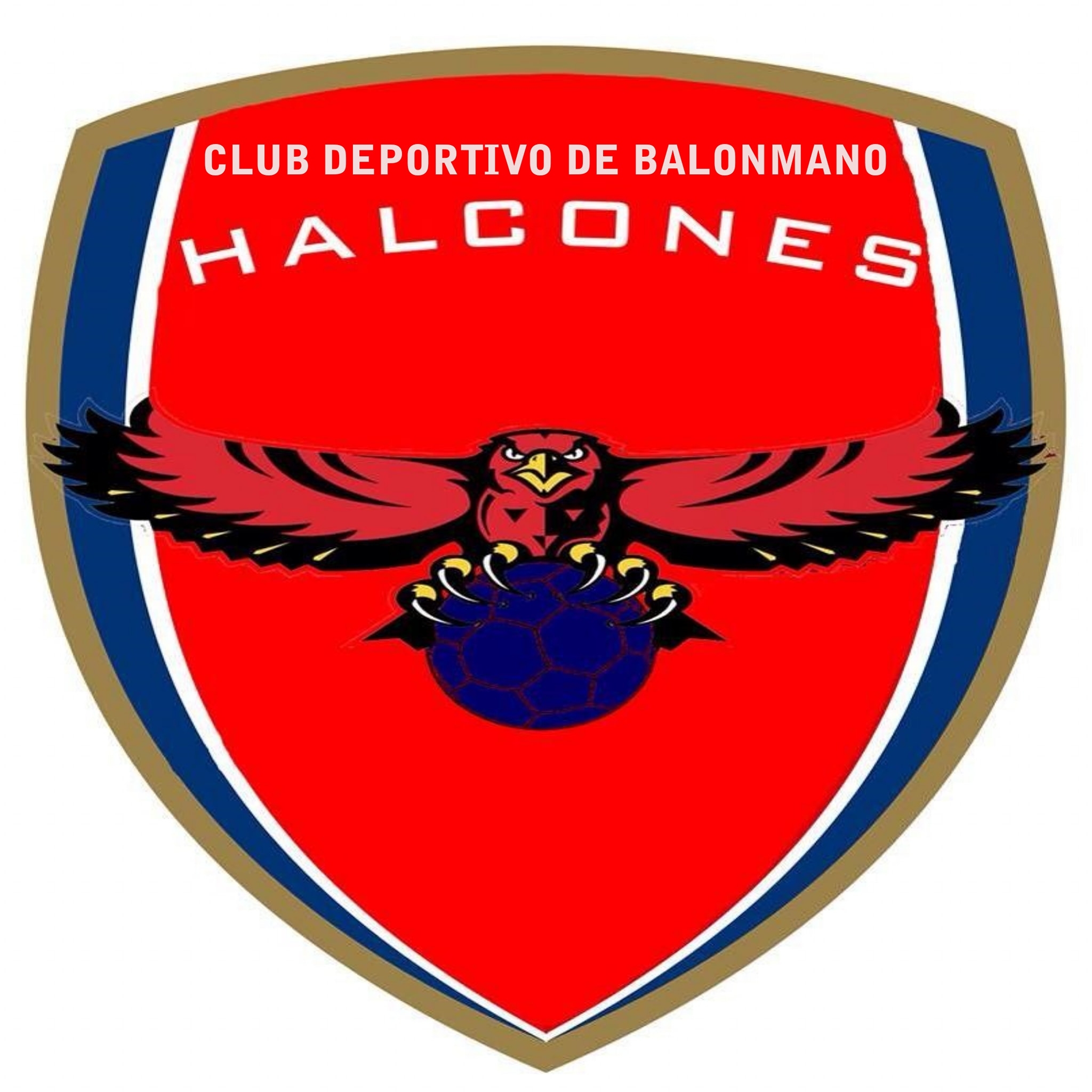 Club deportivo Balonmano Halcones de Bogotá