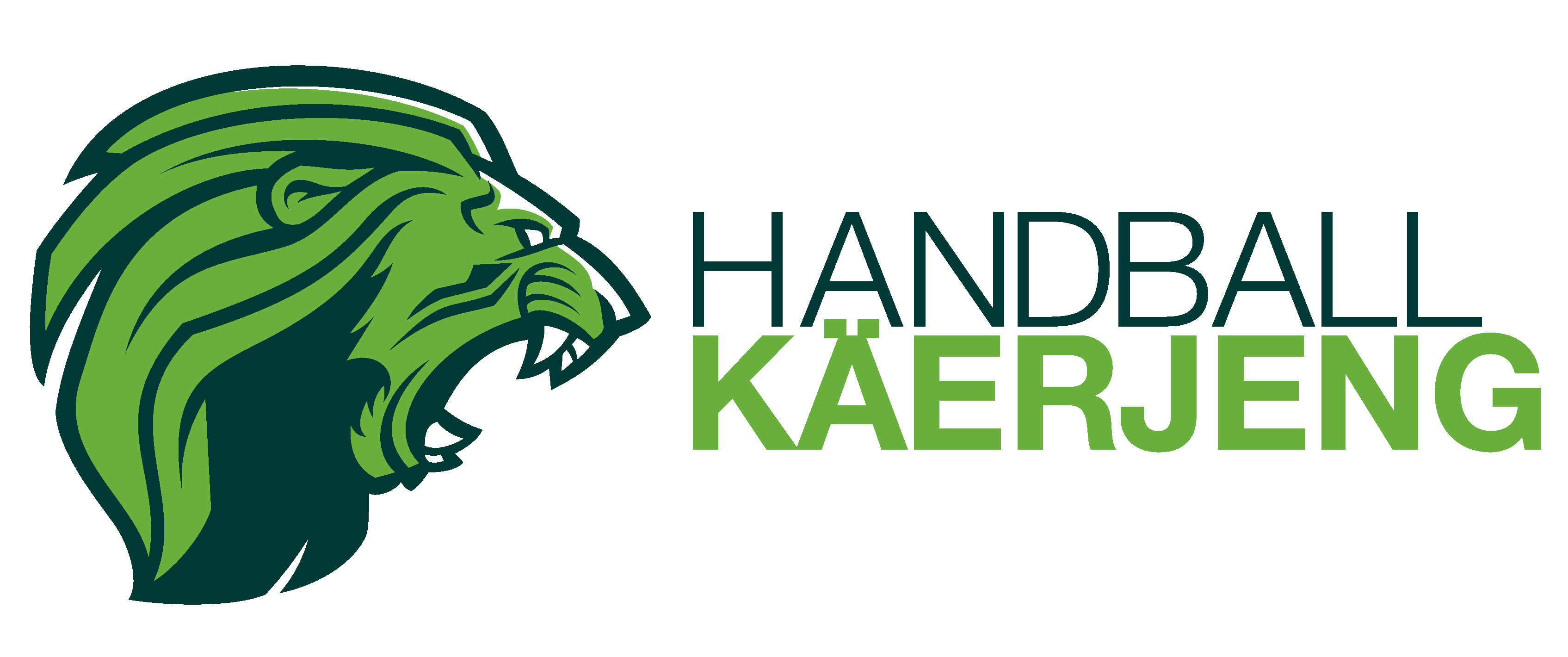 Handball KƤerjeng