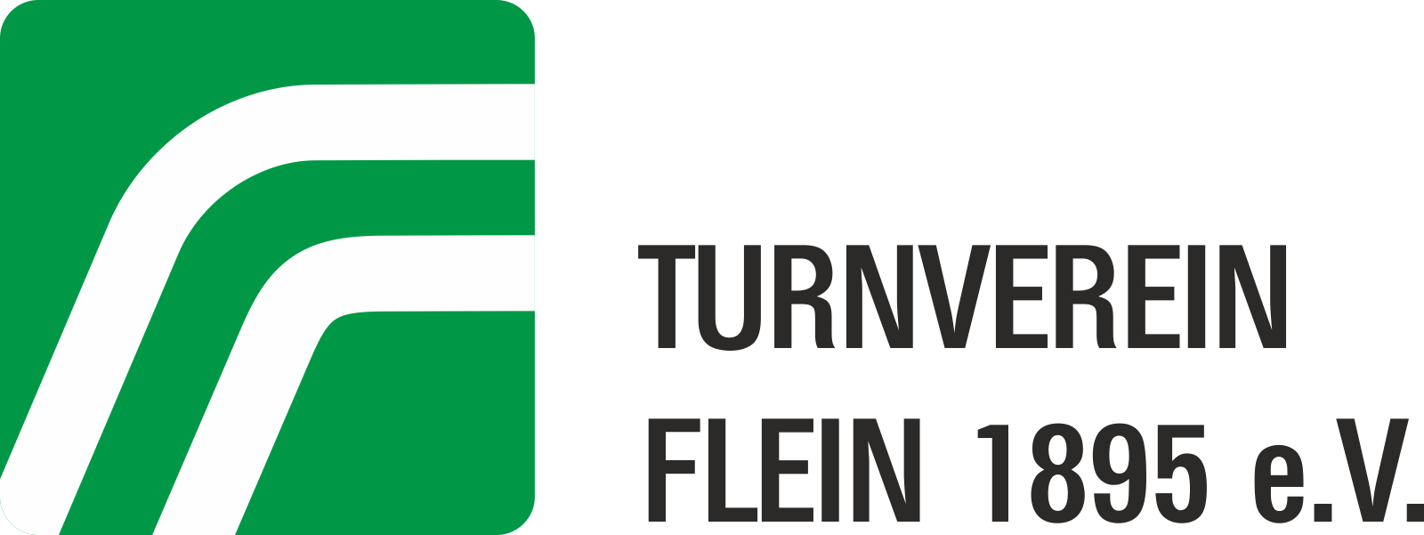 TV Flein 1895