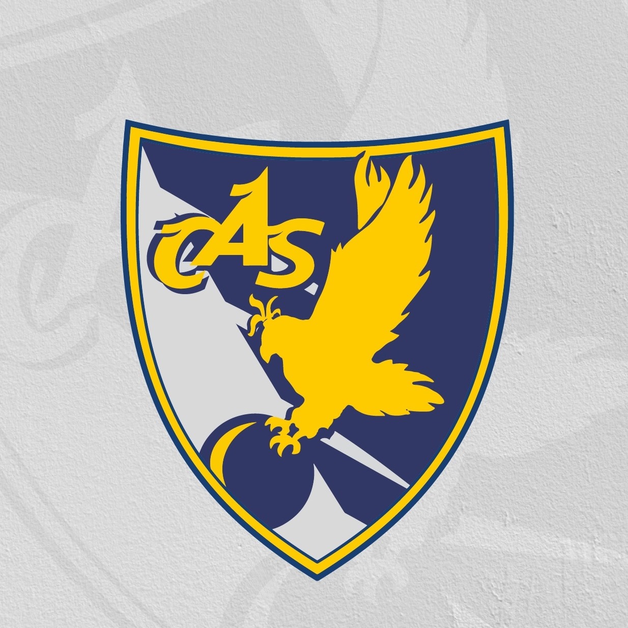 Clube Andebol Salvaterra de Magos