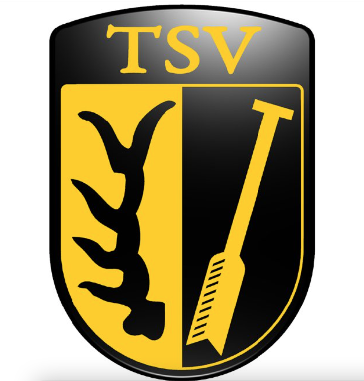TSV Oberriexingen