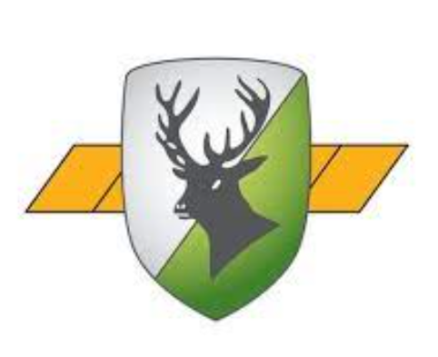 TSV Forstenried Handball