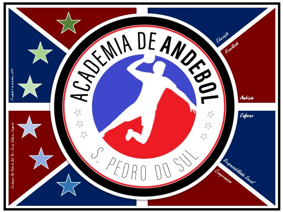 Academia de Andebol de São Pedro do Sul
