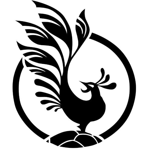 Club Fénix Hb