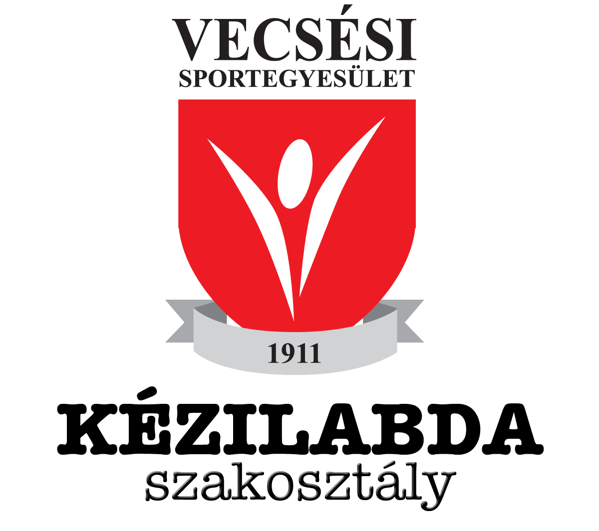 Vecsés SE Kézilabda