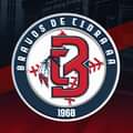 Bravos de Cidra Handball