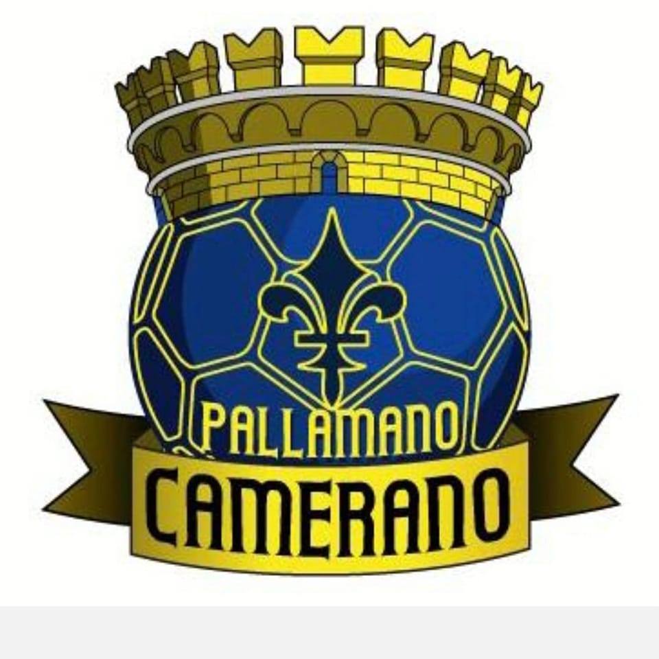 APD Pallamano Camerano