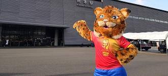 25th Women’s World Championship Mascot Revealed in Japan