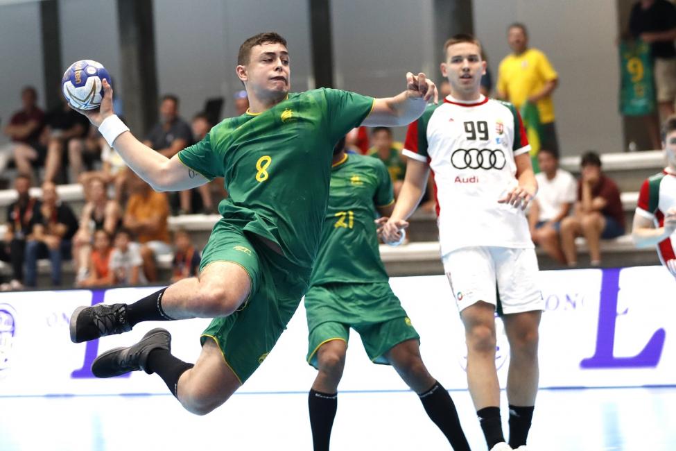 Hungary vs Brazil
