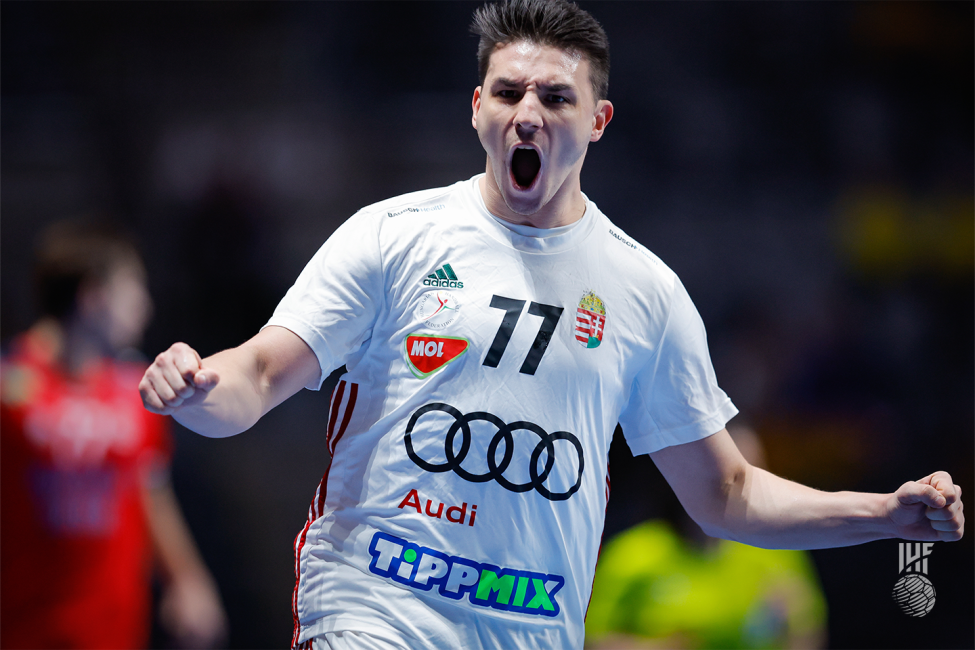 Hungary player celebrating