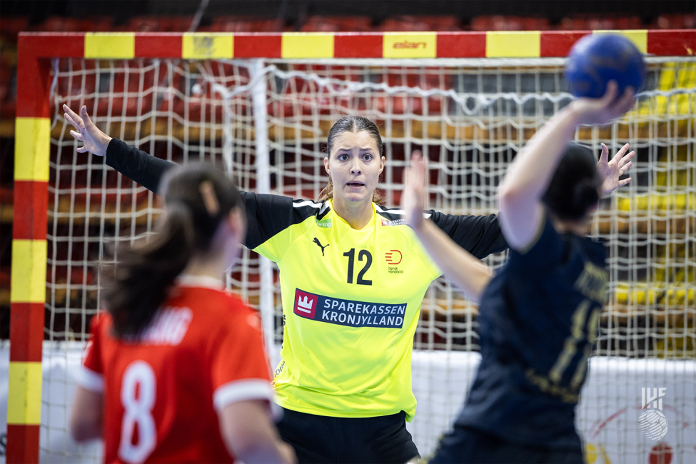 Denmark goalkeeper