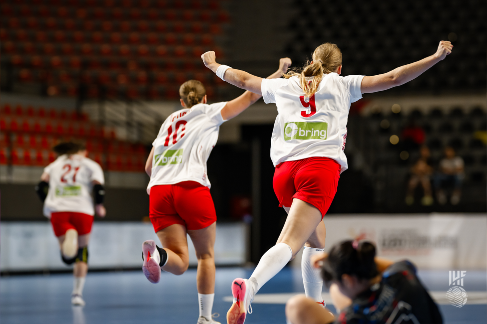 Denmark players celebrating