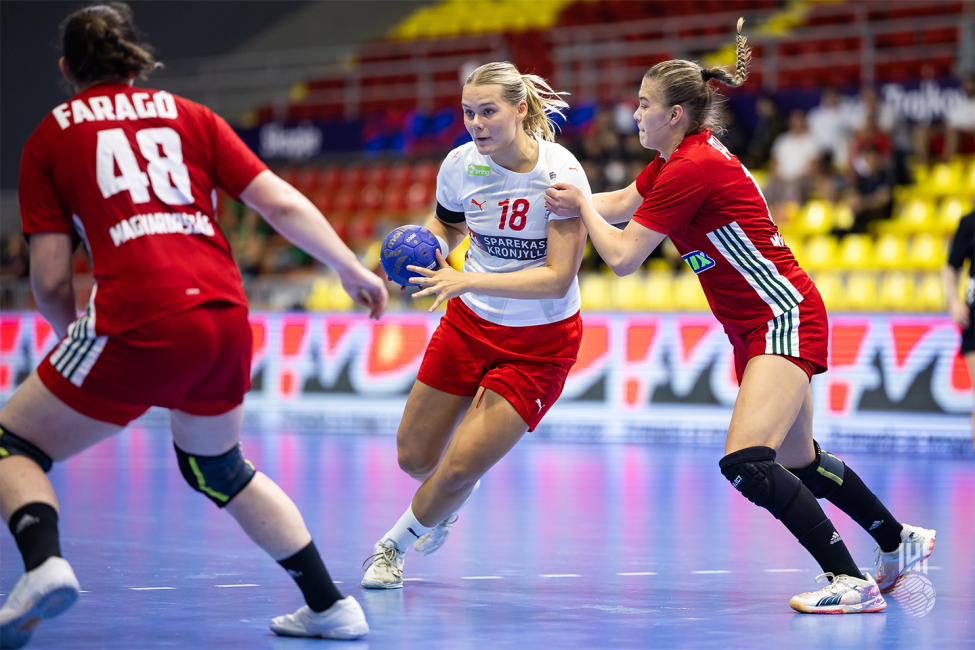 Hungary vs Denmark