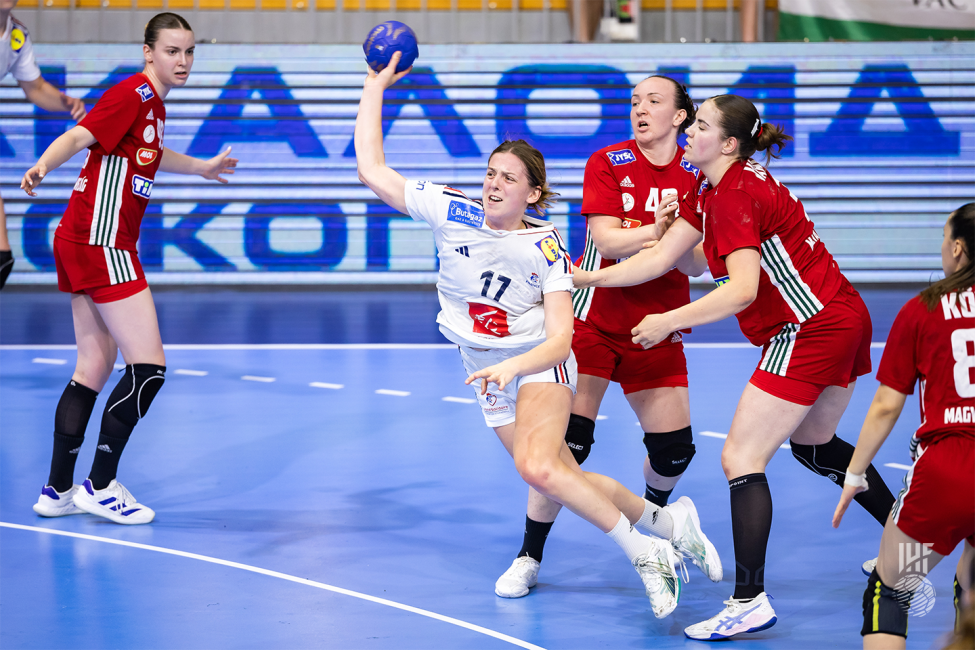 Hungary vs France