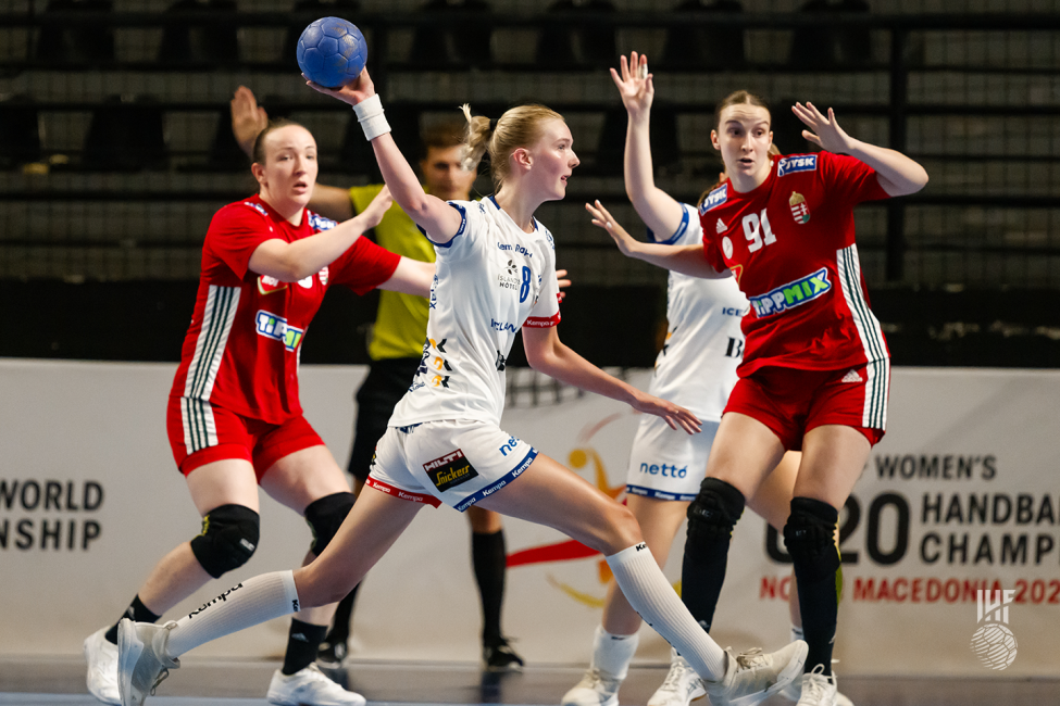 Iceland player shooting