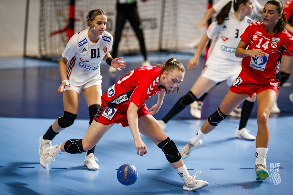 Norway player attacking