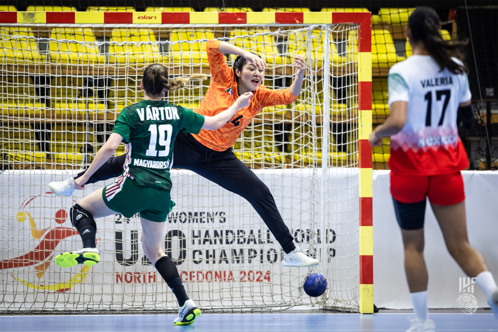 Mexico goalie