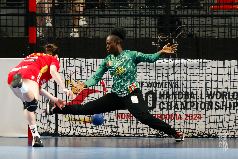 Guinea goalkeeper