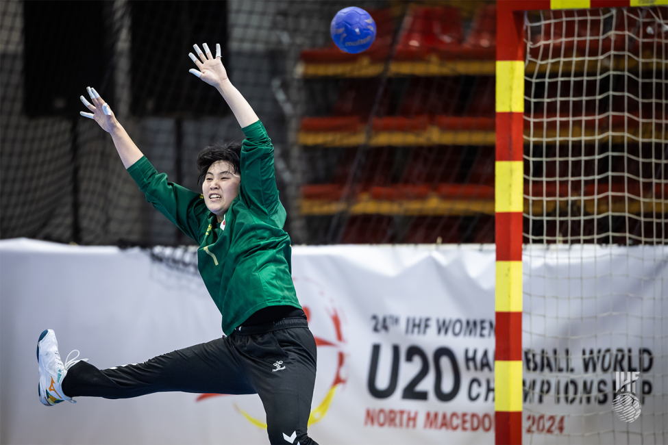 Japan goalie