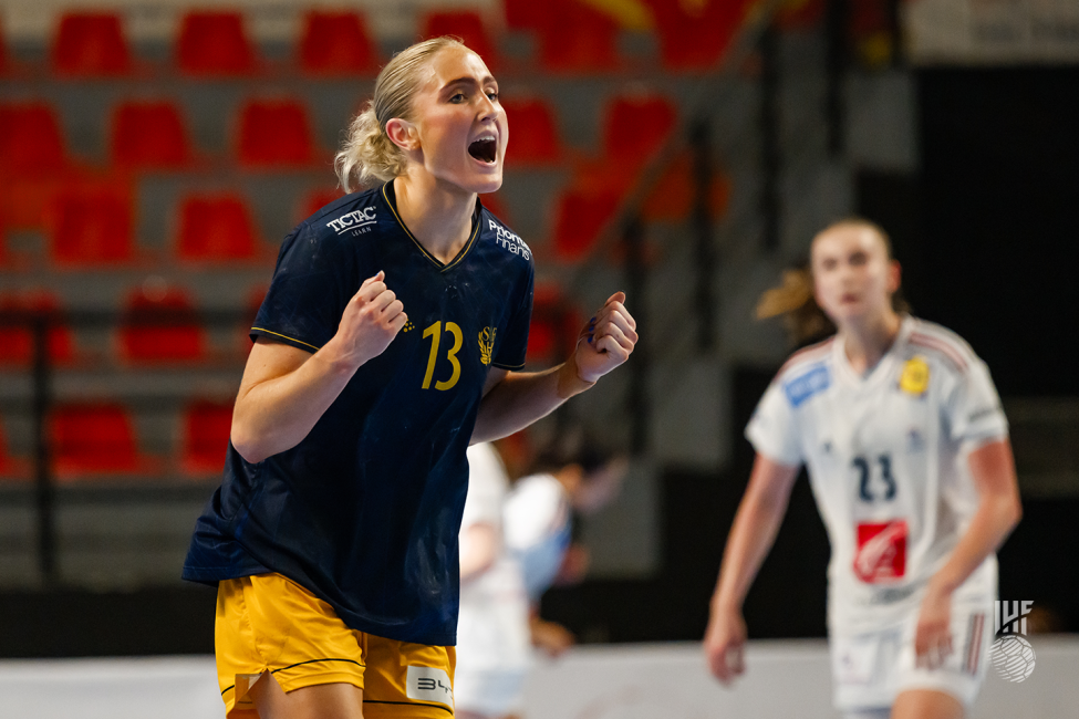 sweden player celebrating