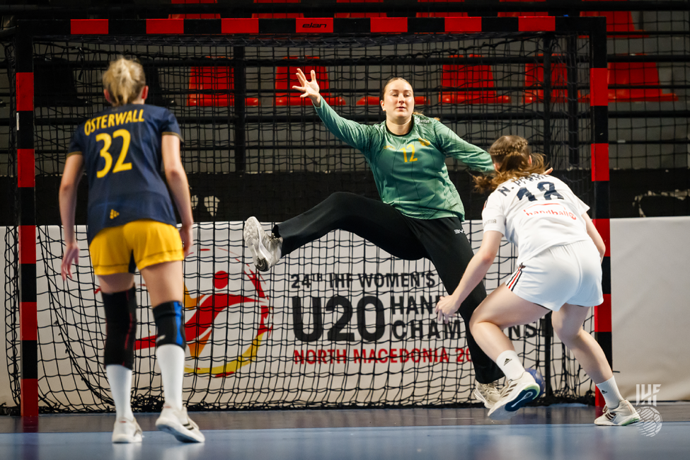 Sweden goalkeeper