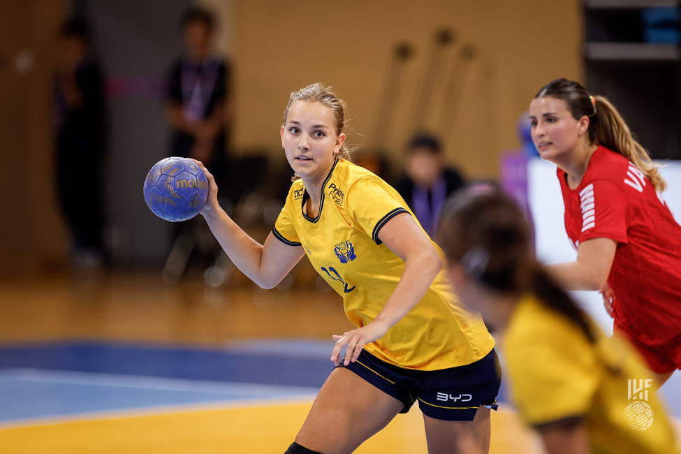 Sweden player attacking