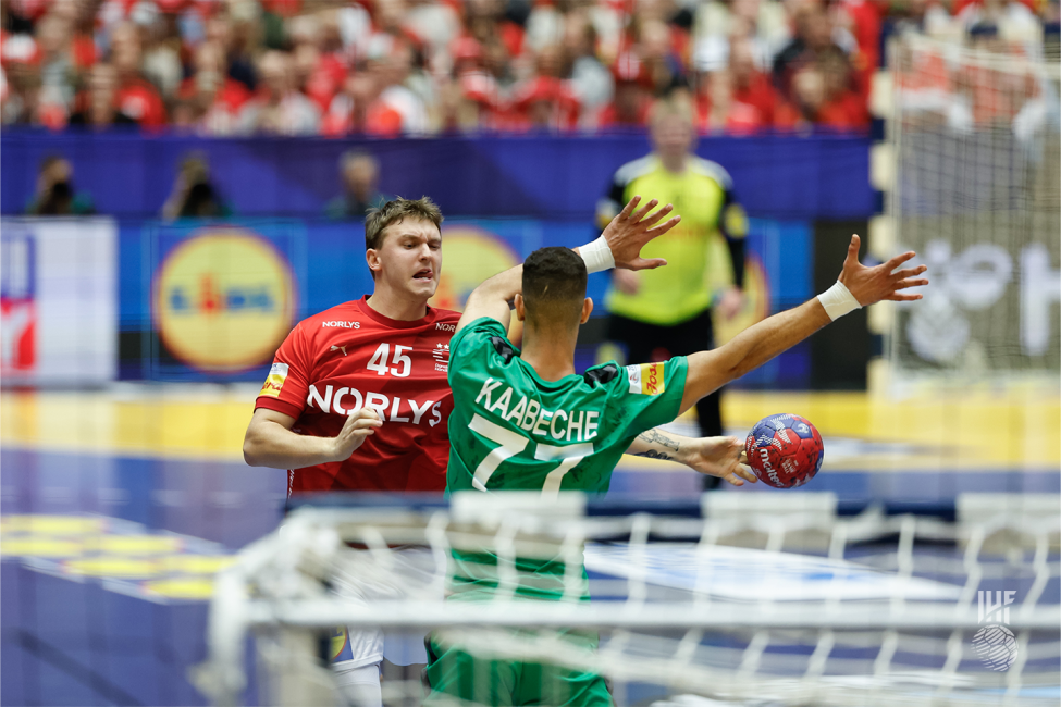 Denmark vs Algeria 