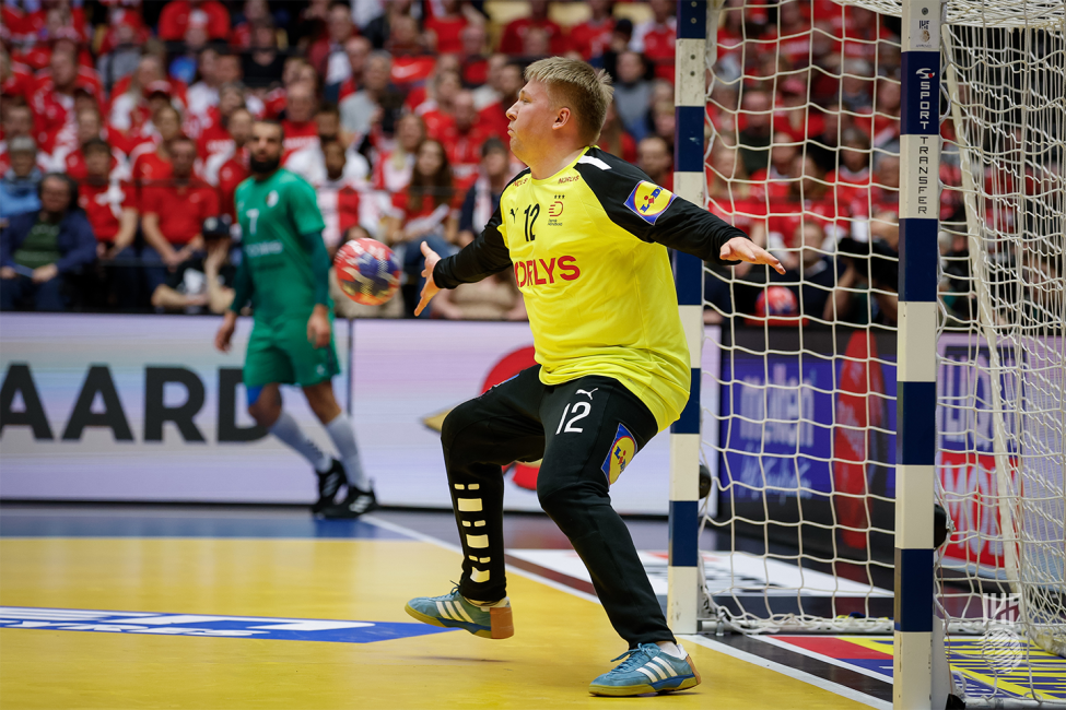 Denmark vs Algeria 