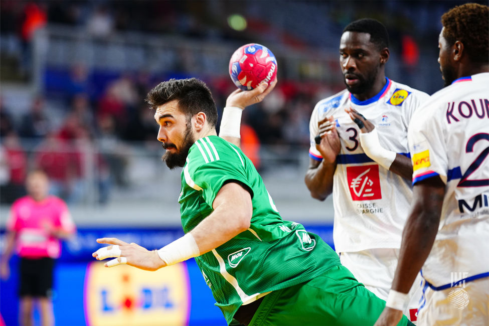 Hungary vs France