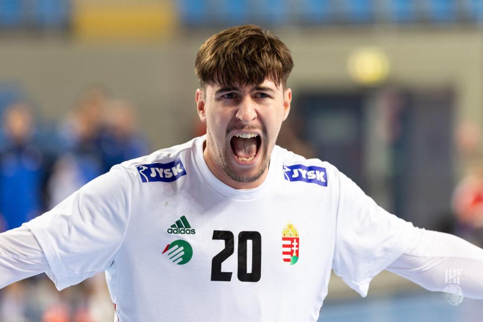 Slovenia vs Hungary 