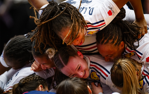 26th IHF Women's World Championship 2023 (Denmark, Norway, Sweden: 29.11 – 17.12) – All Things Nordic