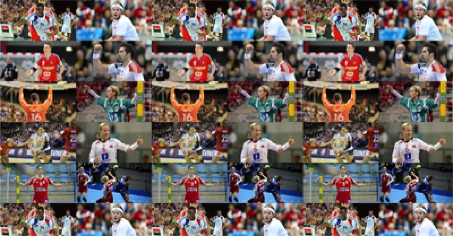 Vote for the World Handball Players 2011!
