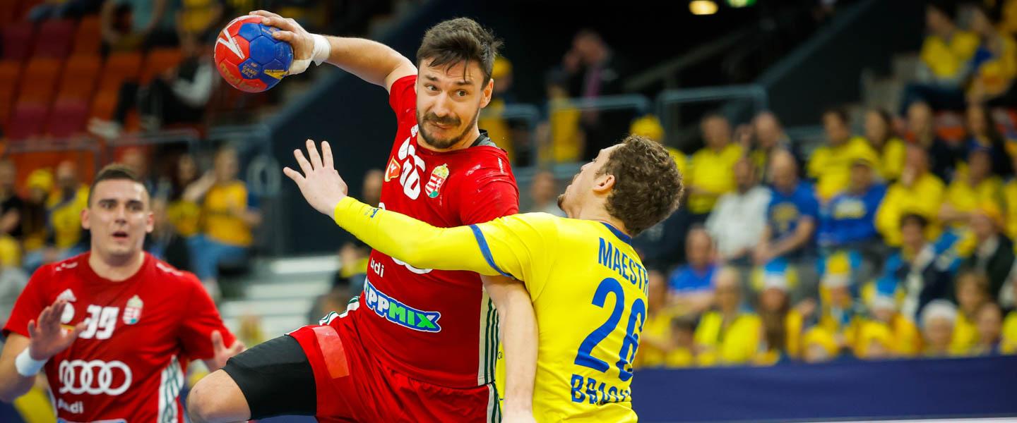 Team Denmark World Champion during the IHF Men's World Championship 2023,  Final Handball match between France