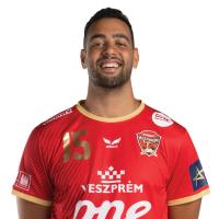 Ahmed Hesham Elsayed
