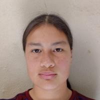 PAULINA BERENICE