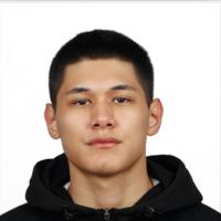 DAMIR