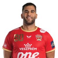 Ahmed Adel Abdelrahim
