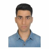 AMIR ALI