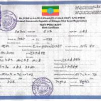 ABENEZER TSEGAYE