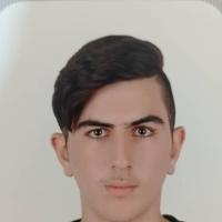 Ali