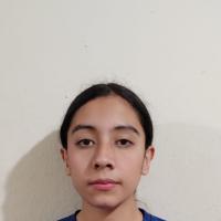 Andrea Estefania 