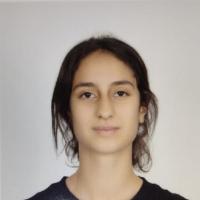 BERFİN