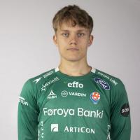 Bjarni