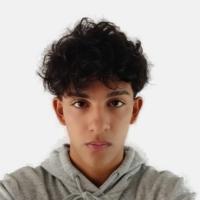Bruno Nicolas 