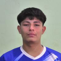 ERVIN MANUEL