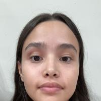 Xilem Ariadna